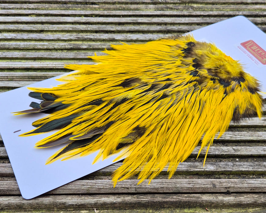 Whiting Farms - Brahma Rooster Saddle