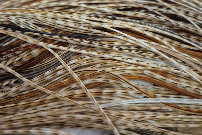 Whiting Farms - Pro Grade Midge Saddle - Barred Medium Ginger