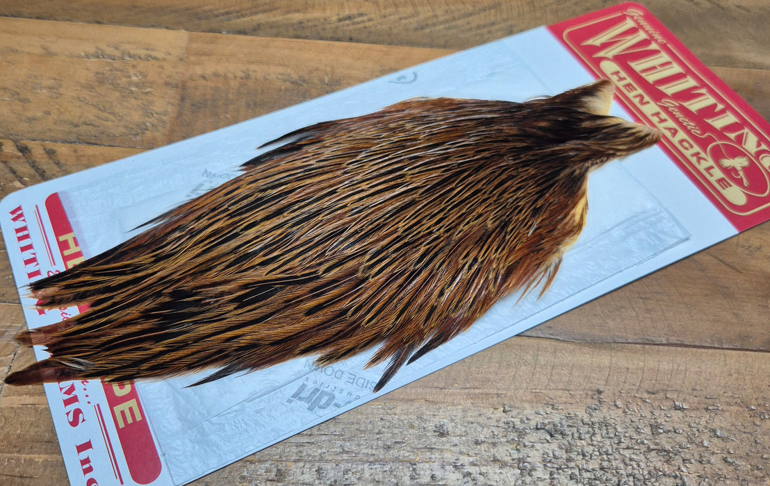Whiting Farms - Hen Cape