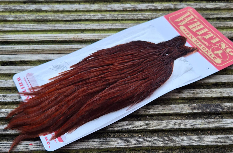 Whiting Farms - Hen Cape