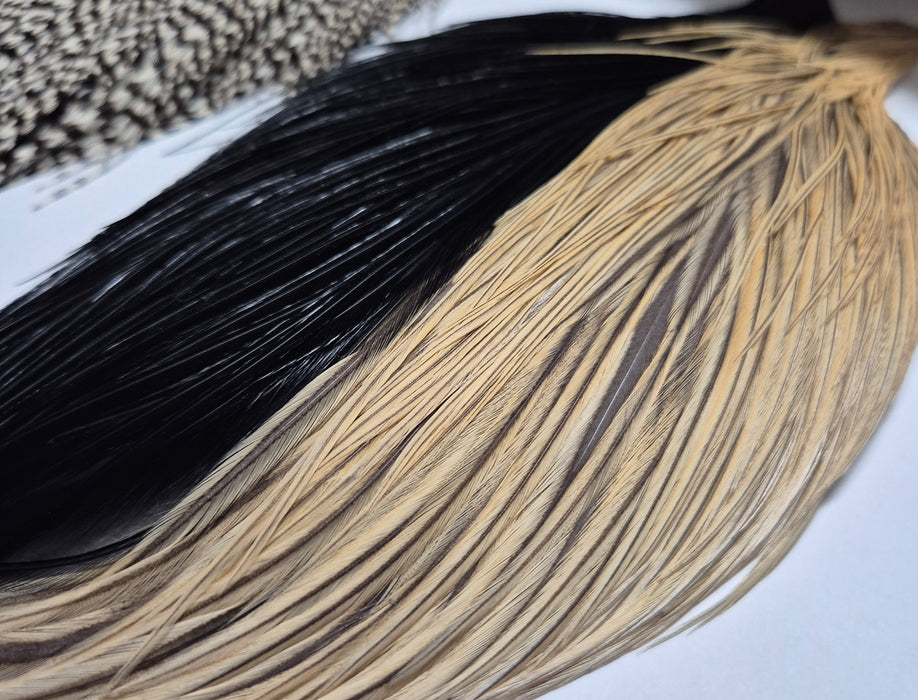 Whiting Farms Introductory Hackle Pack - Four Half Capes