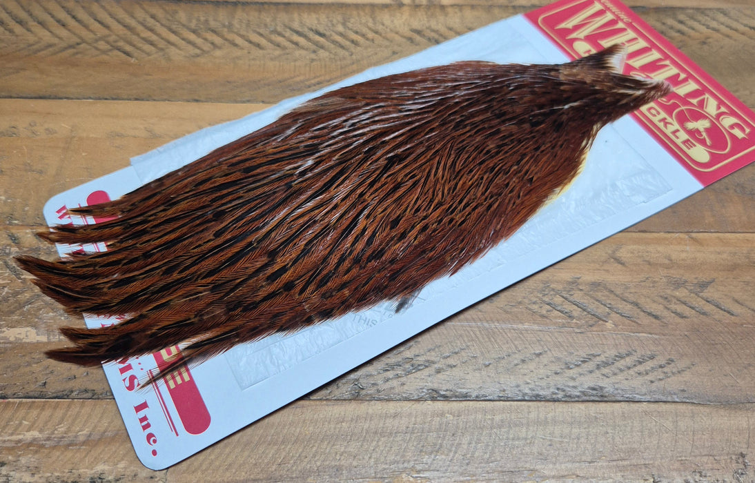 Whiting Farms - Hen Cape
