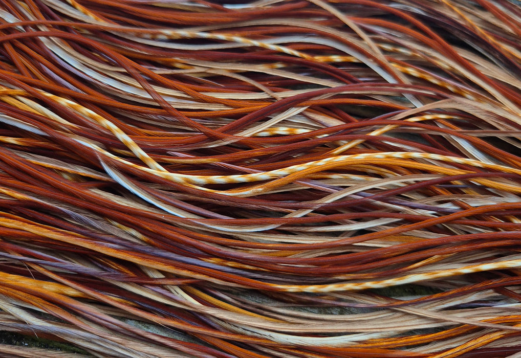 Whiting Farms - Commercial Grade Dry Fly Saddle - Barred Dark Ginger