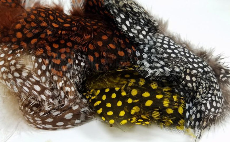 Nature's Spirit - Fish Hunter Large Dot Guinea Fowl