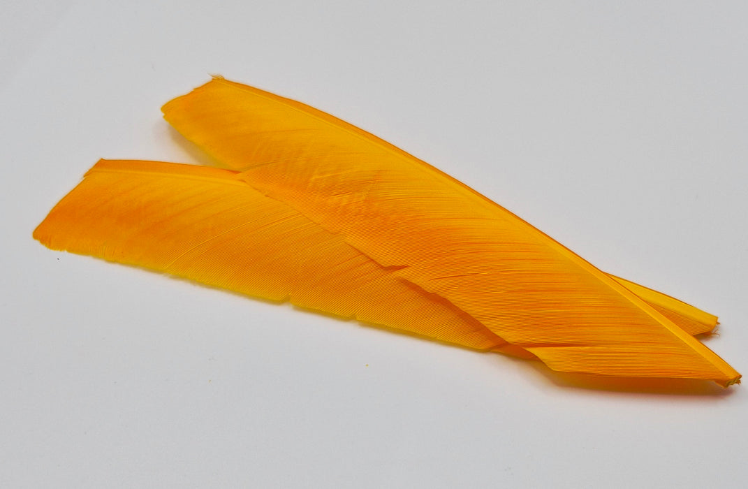 Nature's Spirit Turkey Biot Quills