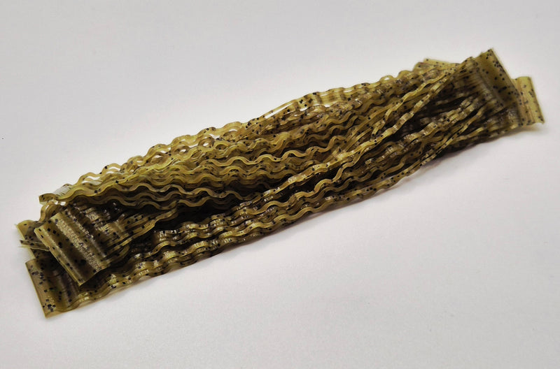 Nature's Spirit - Disco Wavy Legs