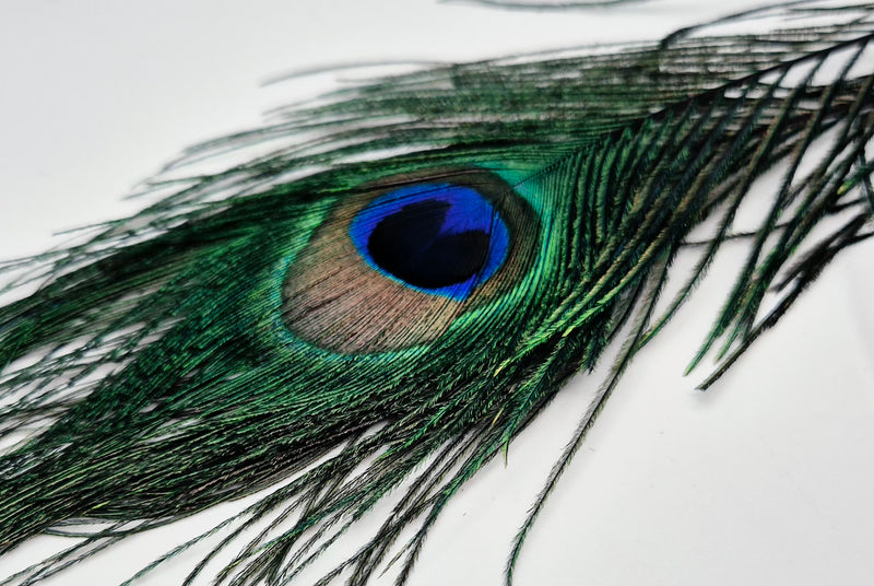 Veniard Peacock Eye Tops