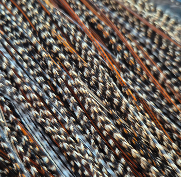 Whiting Farms - Pro Grade Midge Saddle - Grizzly Variant (Almost Cree)