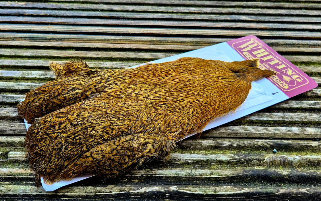 Whiting Farms - Coq de Leon Hen Capes