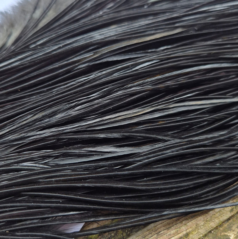 Whiting Farms - Commercial Grade Dry Fly Saddle - Black