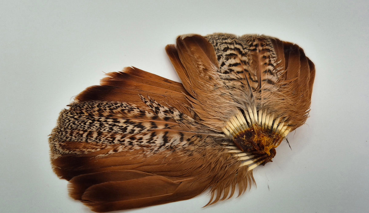 Veniard English Partridge Tails — Chuck N Duck Fly Tying Materials