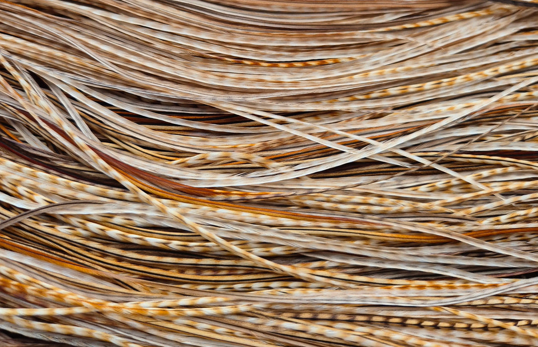 Whiting Farms - Commercial Grade Dry Fly Saddle - Barred Medium Ginger