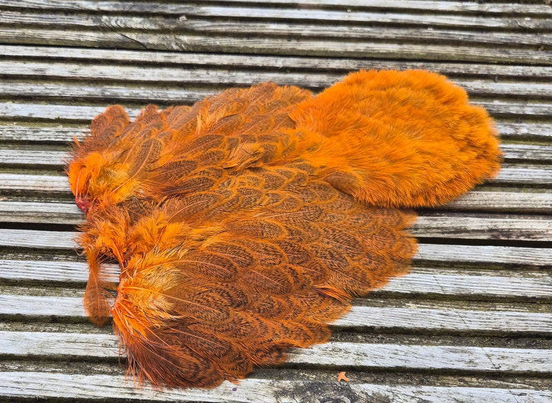 Whiting Farms - Brahma Hen Soft Hackle/Chickabou