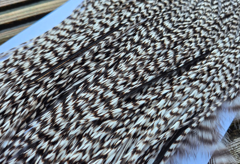 Whiting Farms - Commercial Grade Dry Fly Saddle - Grizzly