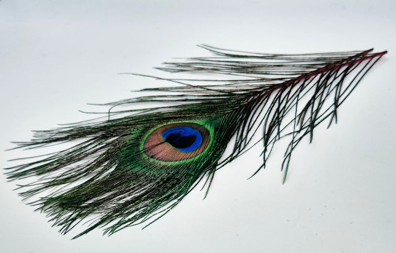 Veniard Peacock Eye Tops