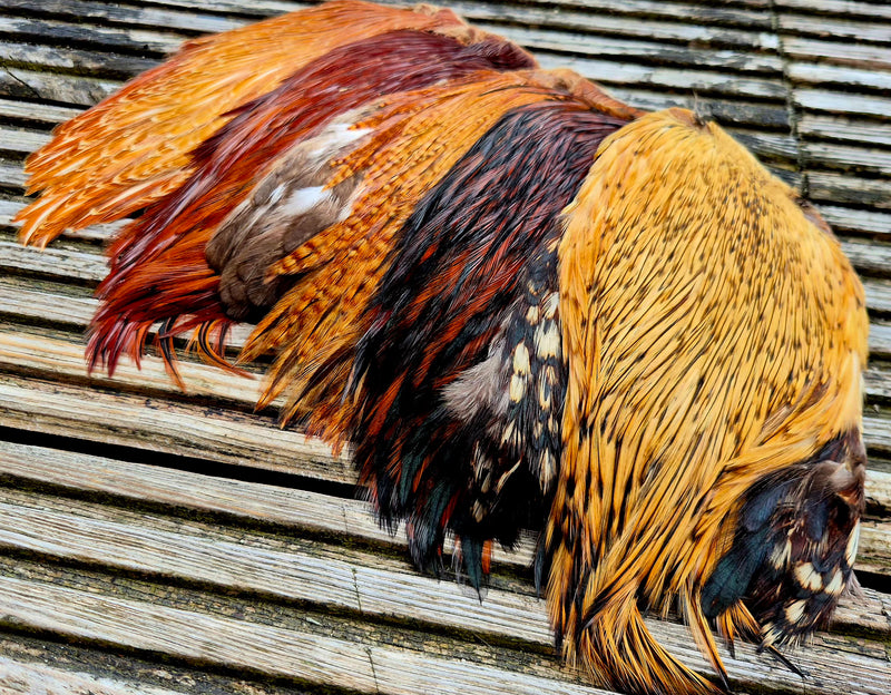 Indian Rooster Cape