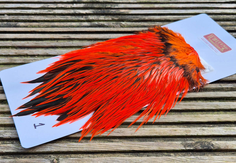 Whiting Farms - Brahma Rooster Saddle