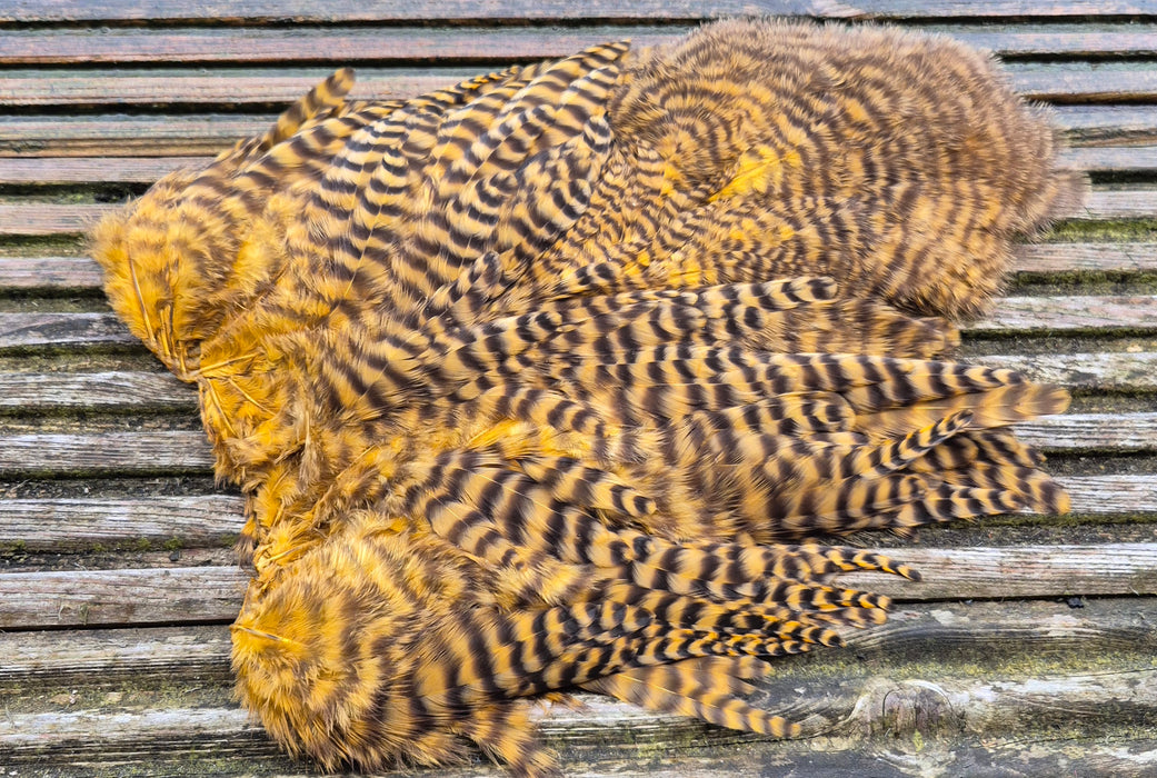 Whiting Farms -  Rooster Soft Hackle/Chickabou