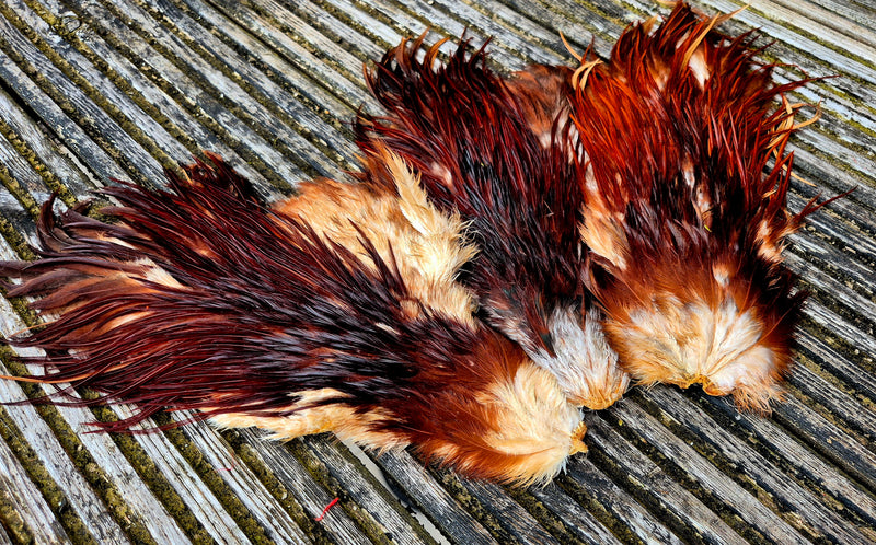 Genetic Rooster Saddles Spencer Hackles