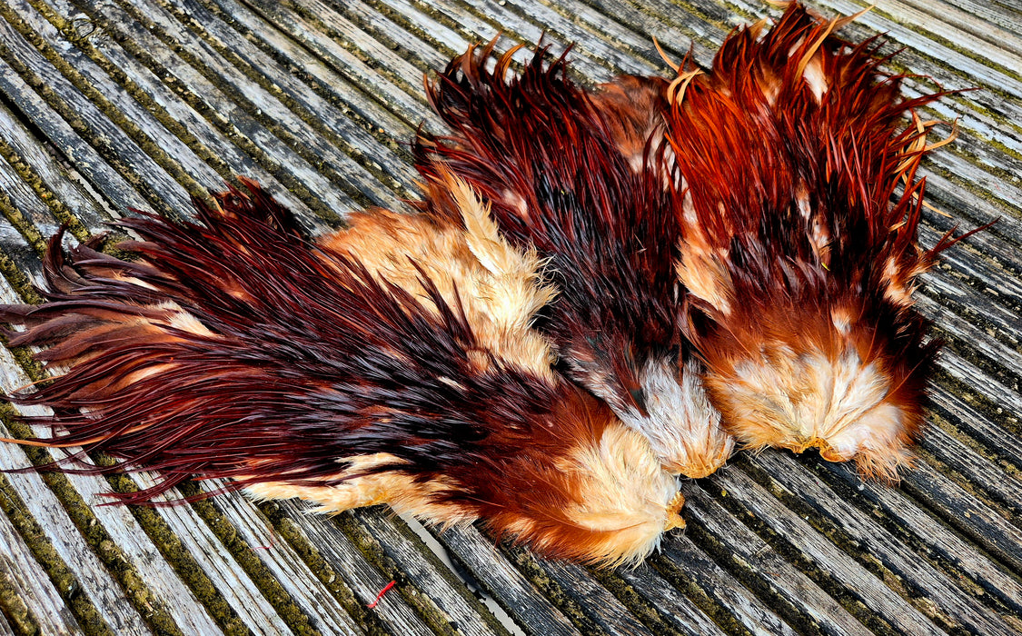 Genetic Rooster Saddles Spencer Hackles