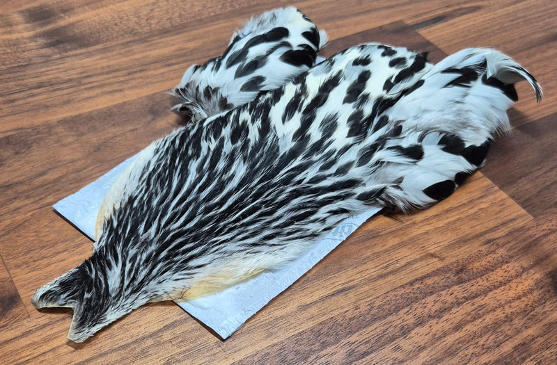 Whiting Farms 4Bs Hen Cape