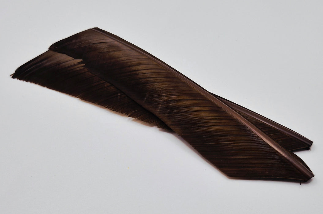 Nature's Spirit Turkey Biot Quills