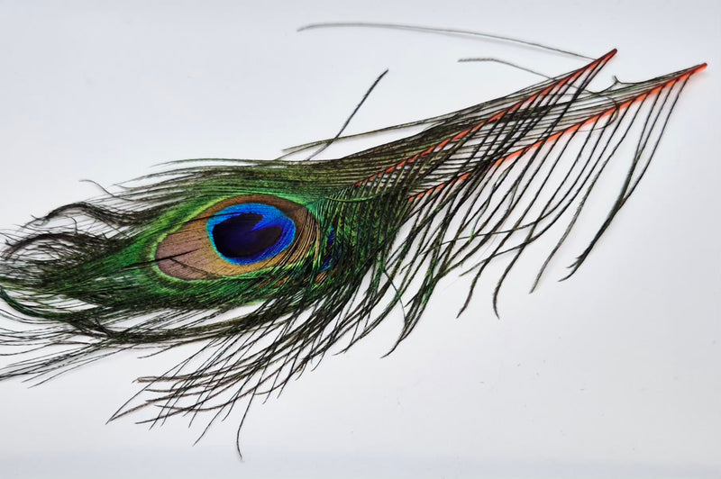 Veniard Peacock Eye Tops
