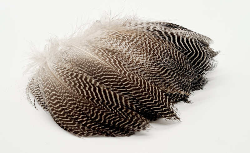 Turrall Teal Flank Feathers