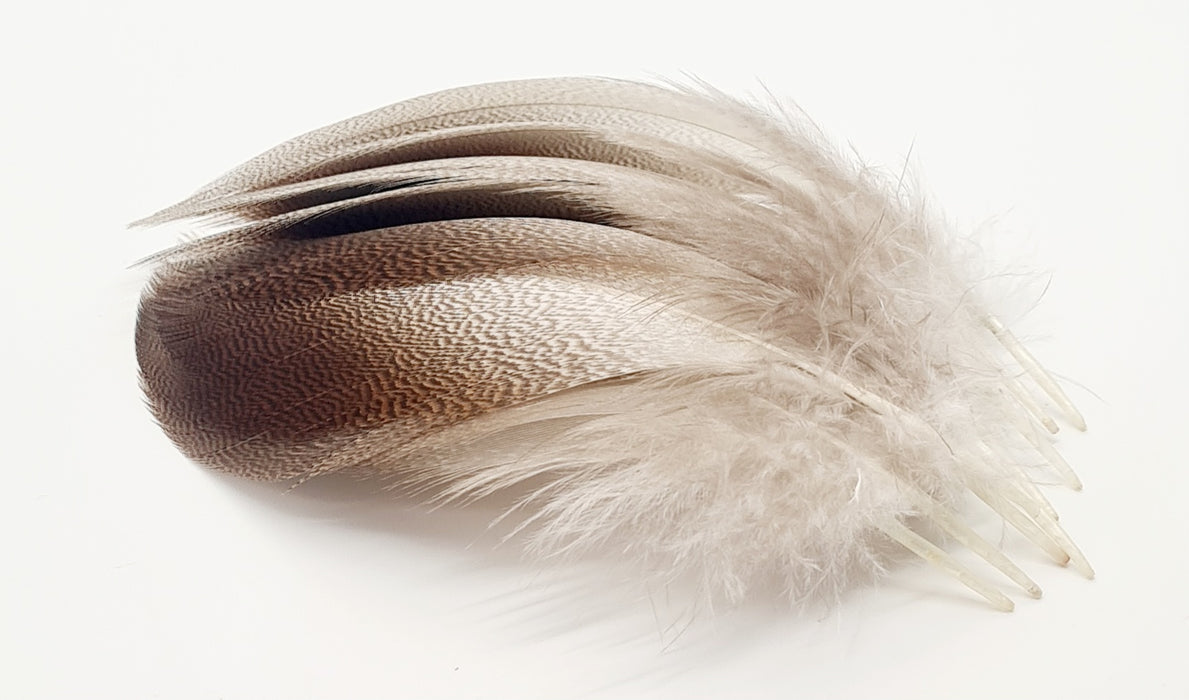 Veniard Bronze Mallard Selected Large Feathers